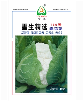 【南方蔬菜】雪生精选160天春花菜