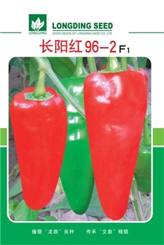 【文鼎农业】长阳红96-2