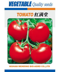 【文鼎农业】红满堂 -番茄种子