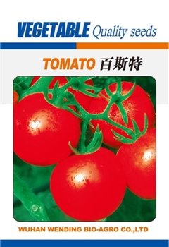 【文鼎农业】百斯特 -番茄种子