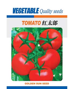 【文鼎农业】红太郎 -番茄种子