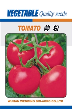 【文鼎农业】帅粉 -番茄种子