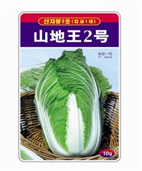 【文鼎农业】山地王二号-大白菜种子