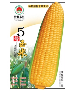【种都高科】五号玉米 玉米种子