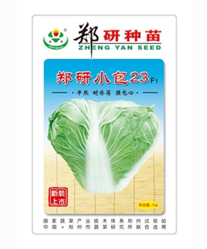 【郑研种苗】郑研小包23-大白菜种子