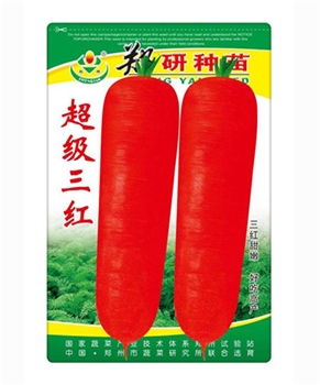 【郑研种苗】超级三红——胡萝卜种子