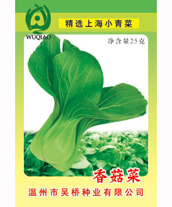【吴桥】香菇菜-大白菜种子