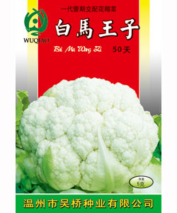 【吴桥】白马王子50天 -花椰菜种子
