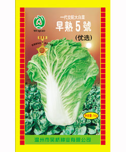 【吴桥】优选早熟5号（14克）-大白菜种子