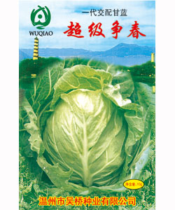 【吴桥】超级争春 -甘蓝种子 包菜种子