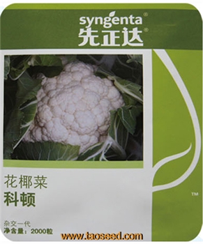 【台湾合欢农产】科顿花椰菜 -花椰菜种子