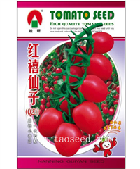 红禧仙子 -番茄种子