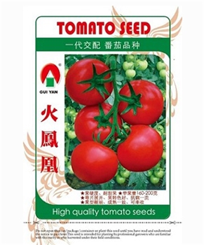火凤凰 -番茄种子