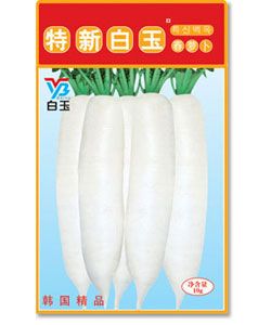【浙江神良种业】特新白玉春萝卜——白萝卜种子