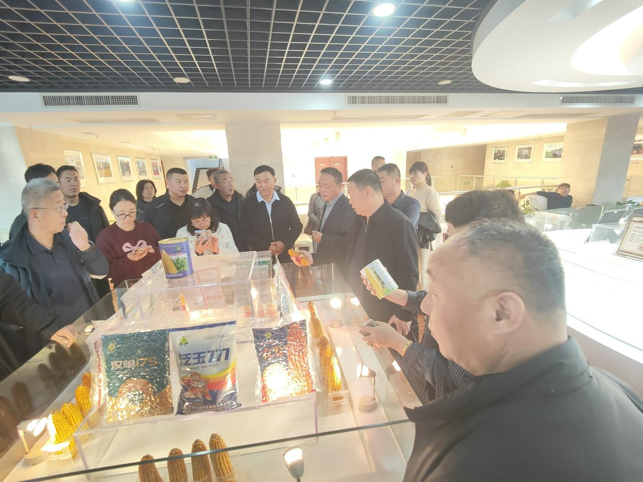 图片20.png 图片20.png