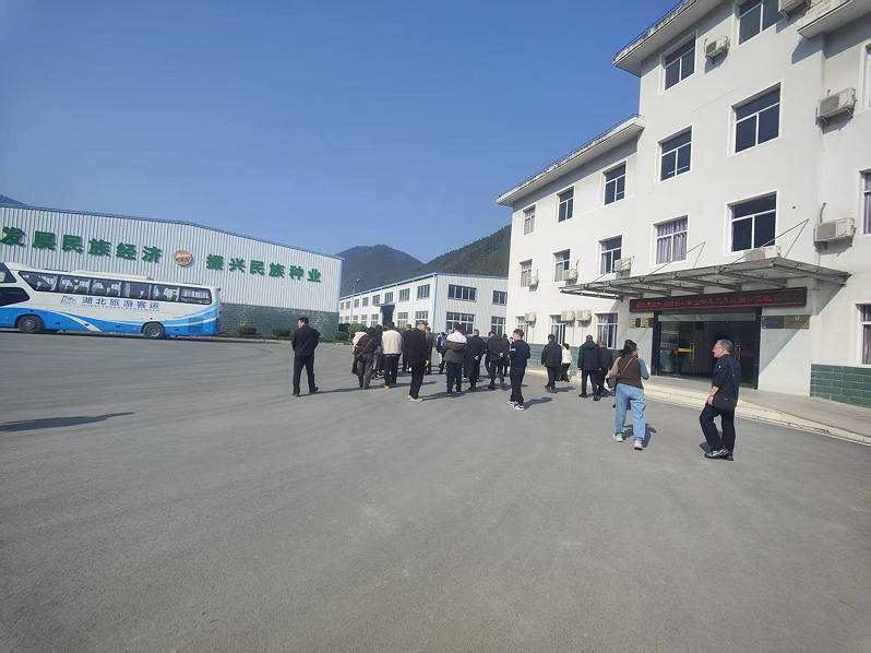 图片30.png 图片30.png