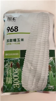 968加甜糯玉米