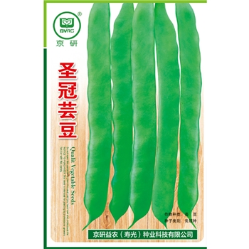 圣冠芸豆