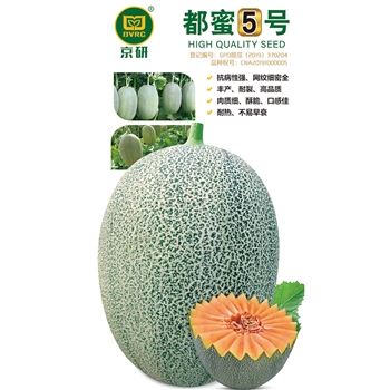 都蜜5号