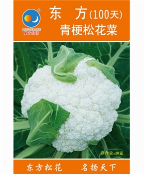 【南方蔬菜】东方青梗松花菜100天