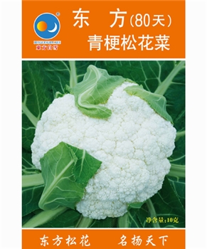 【南方蔬菜】东方青梗松花菜80天
