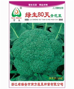 【南方蔬菜】绿生80天青花菜 -花椰菜种子