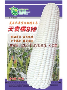 【桂福园】天贵糯919 玉米种子
