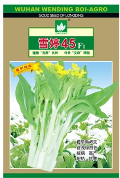 【文鼎农业】雪婷45 -小白菜种子