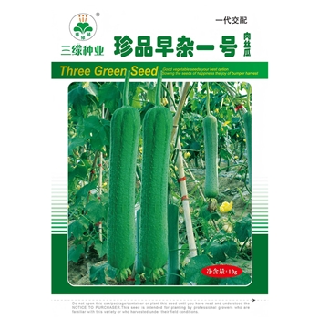 珍品早杂一号肉丝瓜