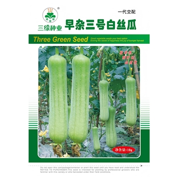 早杂三号白丝瓜