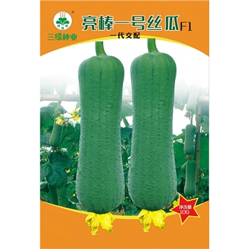 亮棒一号丝瓜