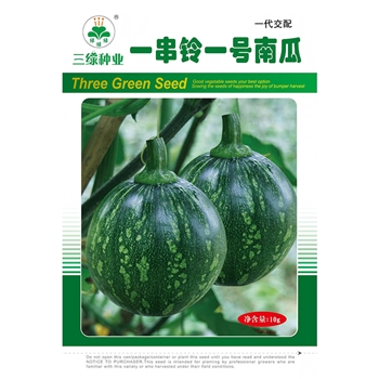 一串铃一号南瓜