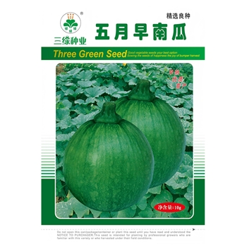 五月早南瓜