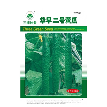 华早二号黄瓜