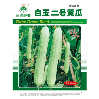 白玉二号黄瓜
