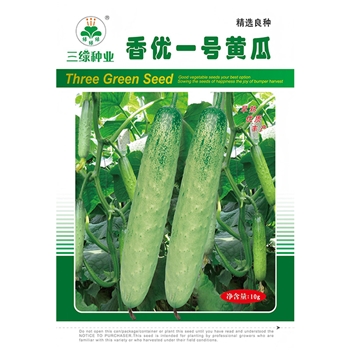 香优一号黄瓜