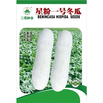 星粉一号冬瓜