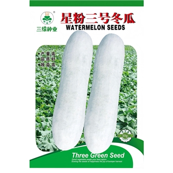 星粉三号冬瓜