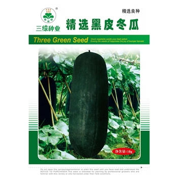 精选黑皮冬瓜