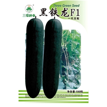 黑铁龙冬瓜