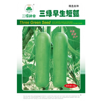 三绿早生短瓠