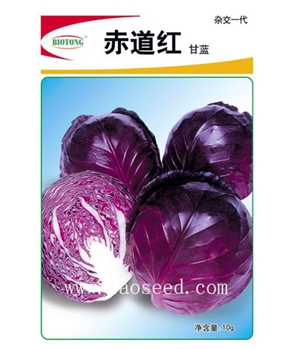 【百欧通】赤道红 -紫甘蓝种子
