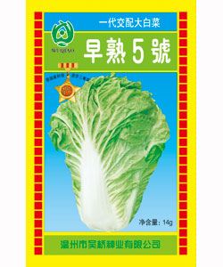 【吴桥】早熟5号（14克）-大白菜种子