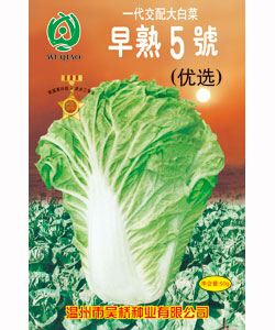 【吴桥】优选早熟5号（50克）-大白菜种子