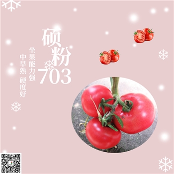 【佳禾农业】硕粉703-番茄种子
