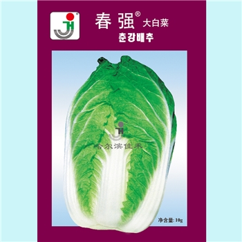 【佳禾农业】春强-白菜种子