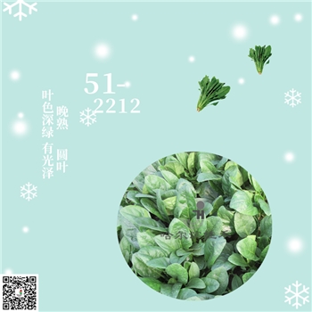 【佳禾农业】51-2212-菠菜种子-耐热
