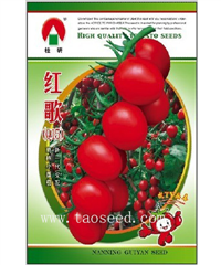 红歌（Q15) -番茄种子