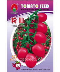 粉仙 -番茄种子