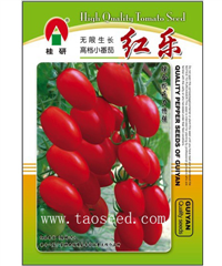 红乐 -番茄种子